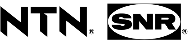 ntn snr logo11